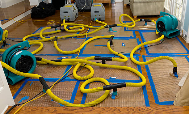 Professional Crawl Space Water Removal technician working in Mantorville, MN